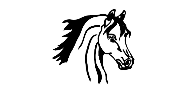 Logo von reitanlage-waldau.de