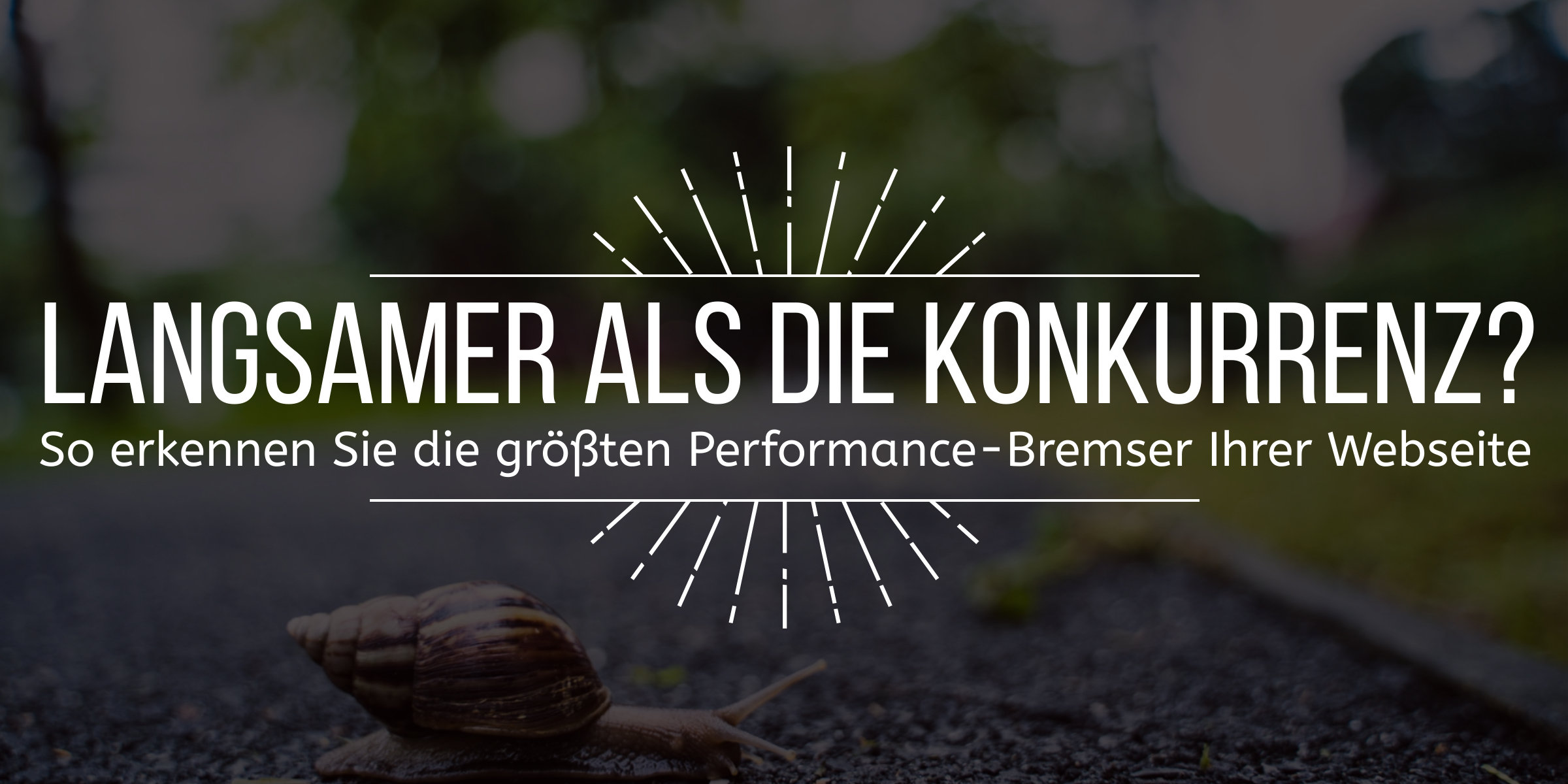 Bild mit dem vorgelagerten Text "Langsamer als die Konkurrenz So erkennen Sie die größten Performance Bremsen Ihrer Webseite" - im Hintergrund ist eine Schnecke auf einer Straße zu sehen